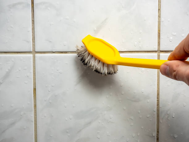 Trusted Belle Plaine, IA Mold Removal Experts