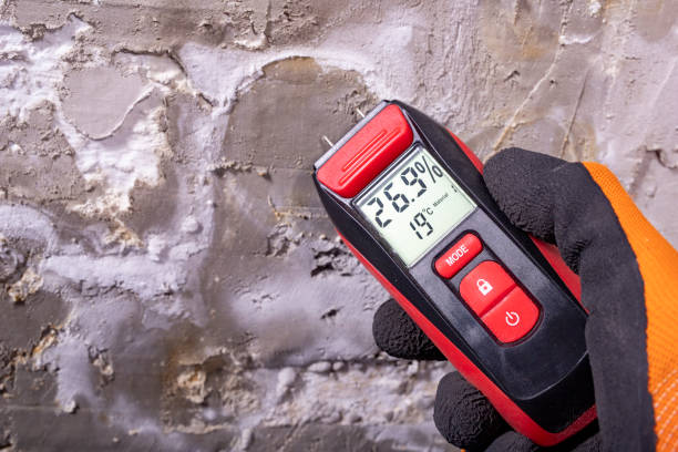 Best Mold Cleaning Services  in Belle Plaine, IA