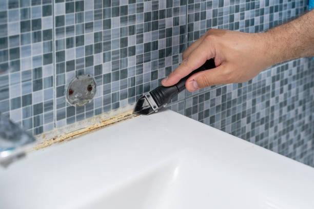 Best Toxic Mold Removal  in Belle Plaine, IA